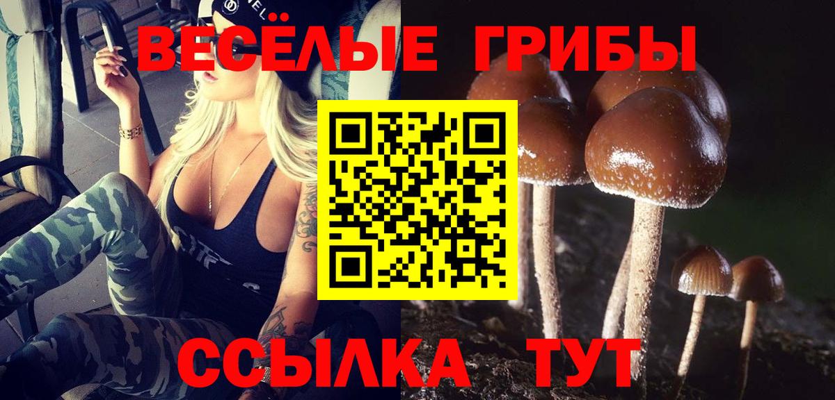 Мценск  Галлюциногенные грибы Magic Shrooms  Вход с VPN 